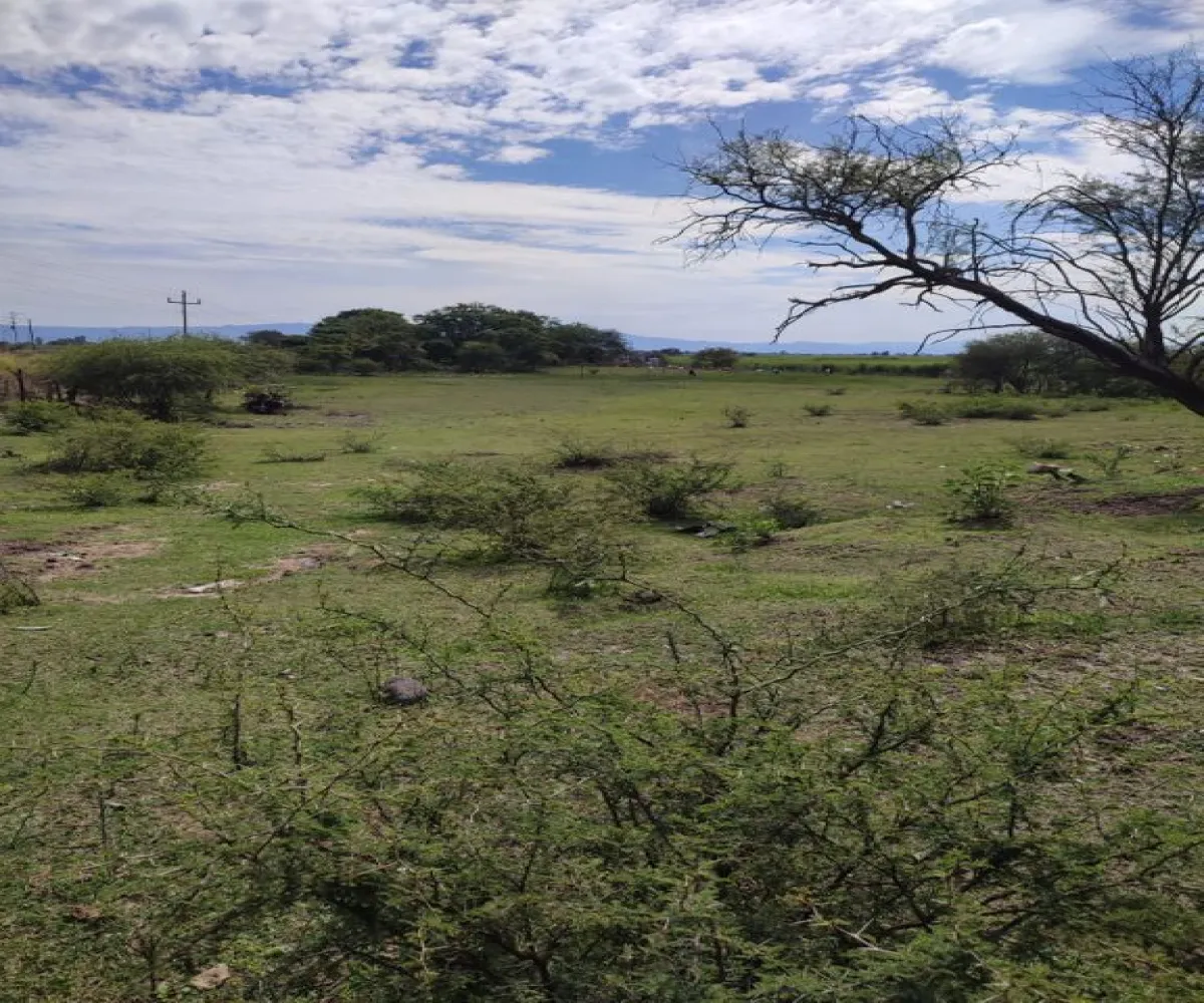 Terreno En Venta,Labor de Medina,Carretera a Ameca s/n, Guachinango, Jalisco 46770,Carretera a Ameca,pVwUwUd