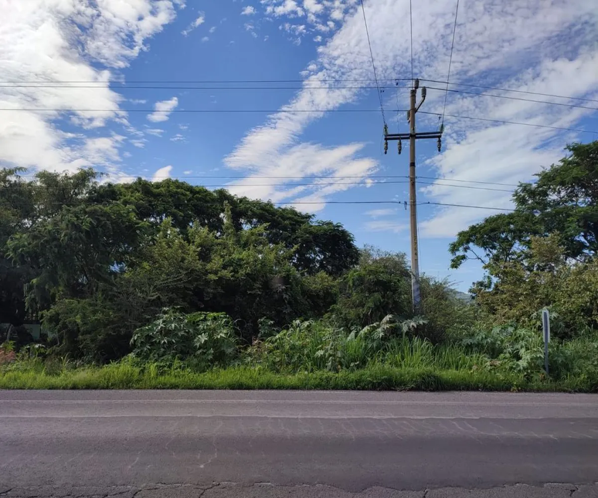 Terreno En Venta,Labor de Medina,Carretera a Ameca s/n, Guachinango, Jalisco 46770,Carretera a Ameca,pVwUwUd