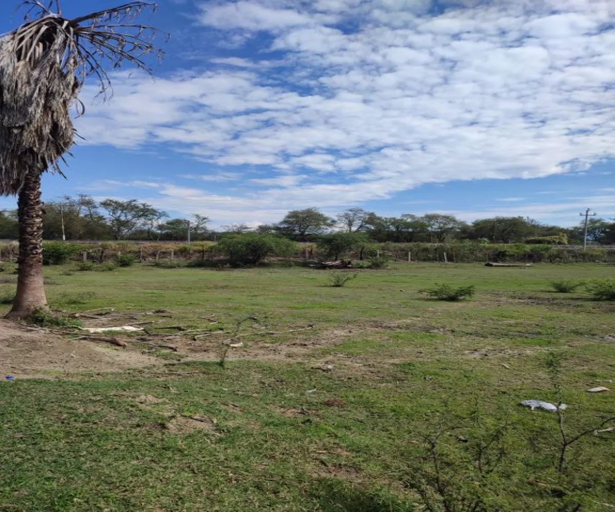 Terreno En Venta,Labor de Medina,Carretera a Ameca s/n, Guachinango, Jalisco 46770,Carretera a Ameca,pVwUwUd