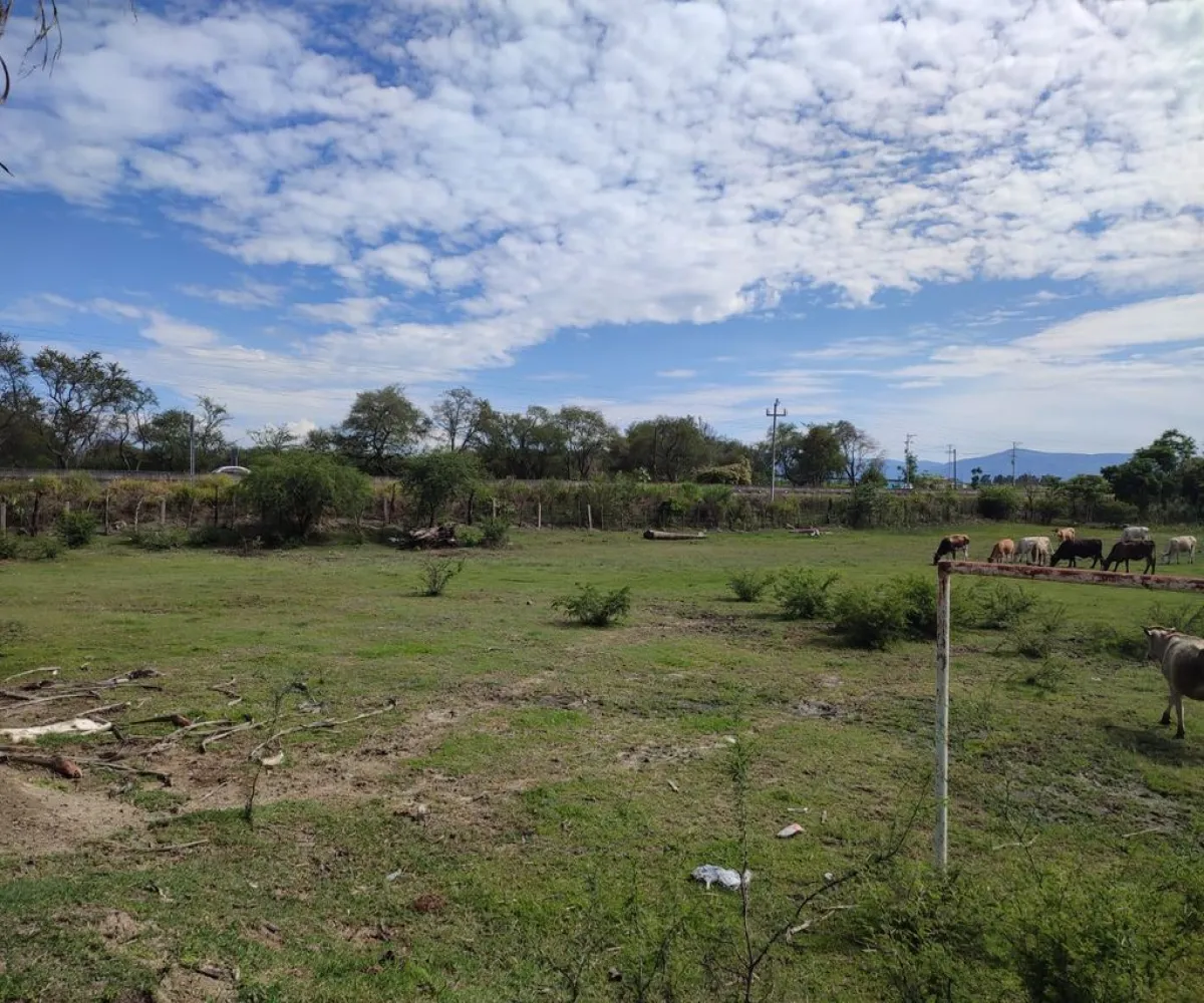 Terreno En Venta,Labor de Medina,Carretera a Ameca s/n, Guachinango, Jalisco 46770,Carretera a Ameca,pVwUwUd