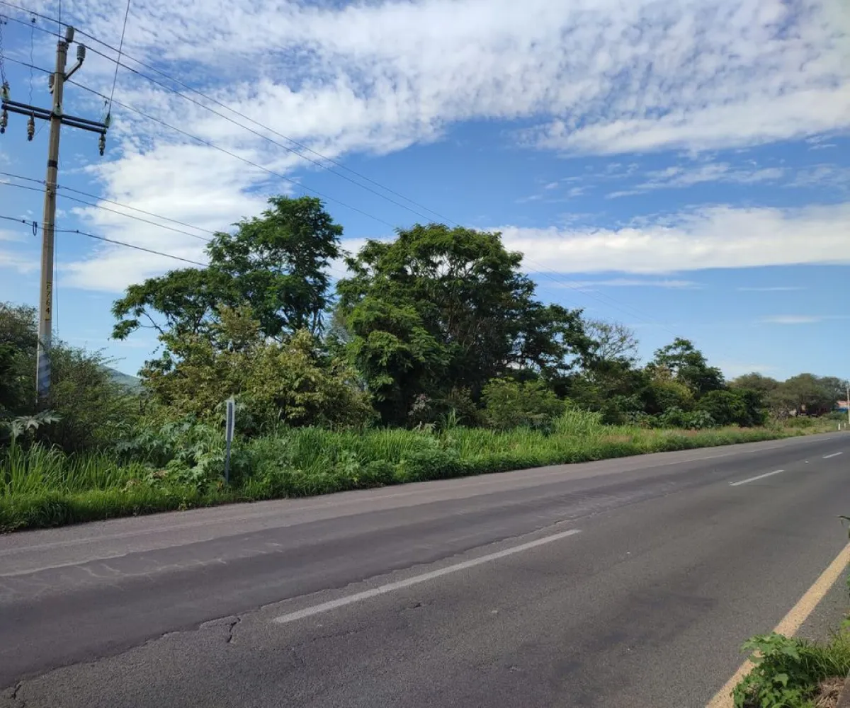 Terreno En Venta,Labor de Medina,Carretera a Ameca s/n, Guachinango, Jalisco 46770,Carretera a Ameca,pVwUwUd