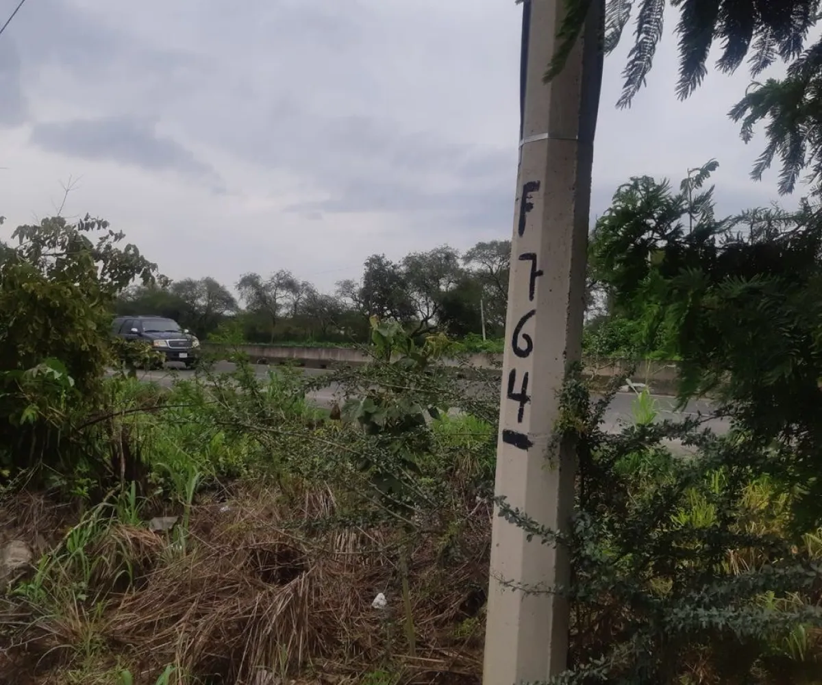 Terreno En Venta,Labor de Medina,Carretera a Ameca s/n, Guachinango, Jalisco 46770,Carretera a Ameca,pVwUwUd