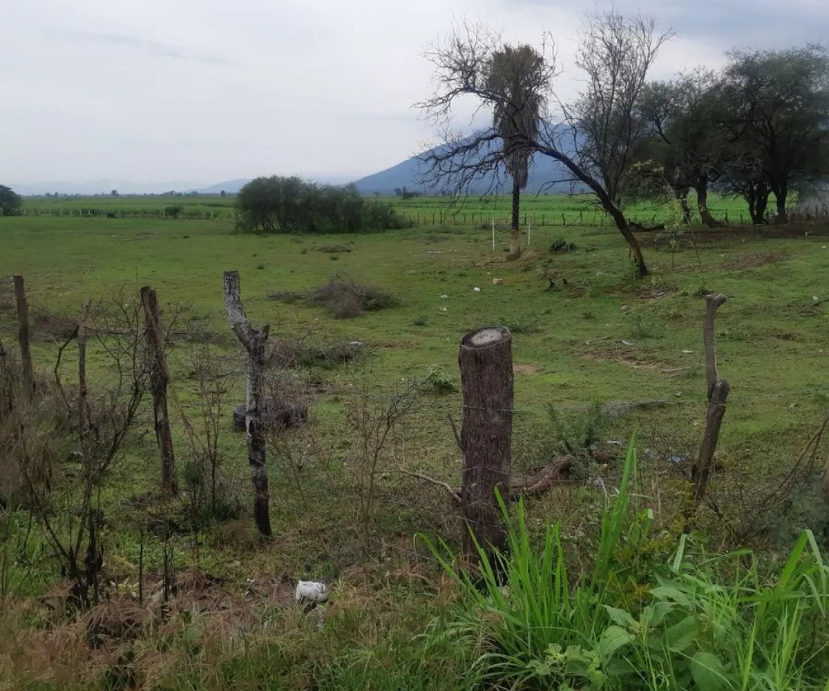 Terreno En Venta,Labor de Medina,Carretera a Ameca s/n, Guachinango, Jalisco 46770,Carretera a Ameca,pVwUwUd