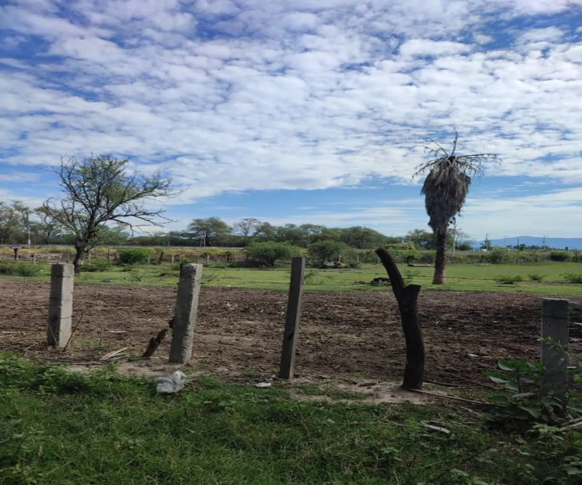 Terreno En Venta,Labor de Medina,Carretera a Ameca s/n, Guachinango, Jalisco 46770,Carretera a Ameca,pVwUwUd