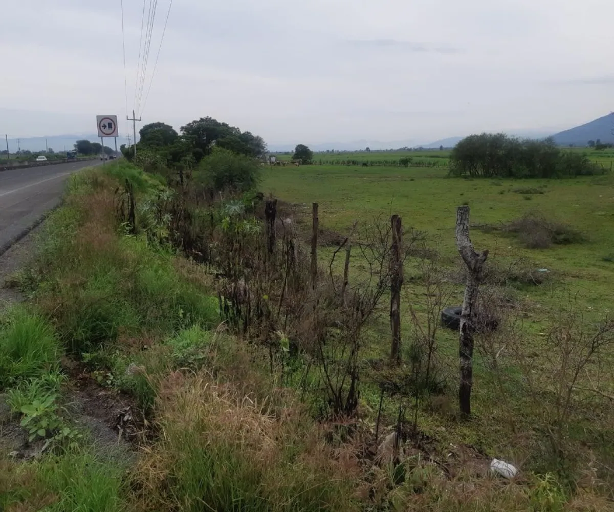 Terreno En Venta,Labor de Medina,Carretera a Ameca s/n, Guachinango, Jalisco 46770,Carretera a Ameca,pVwUwUd