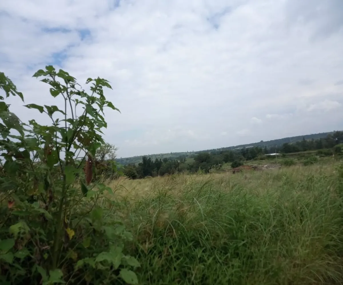 Terreno En Venta,La Laja,Mesa Alta y la Cuchara S/N, Zapotlanejo, Jalisco 45438,Mesa Alta y la Cuchara,pI3bYhJ