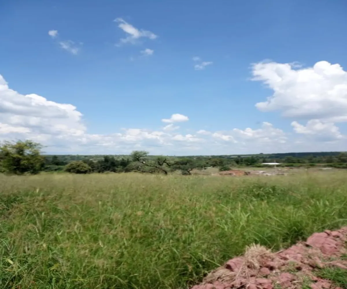 Terreno En Venta,La Laja,Mesa Alta y la Cuchara S/N, Zapotlanejo, Jalisco 45438,Mesa Alta y la Cuchara,pI3bYhJ