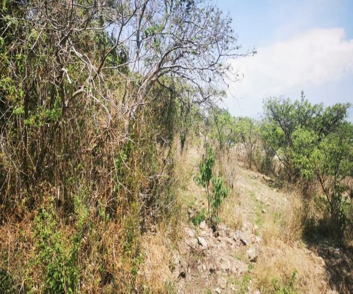 Terreno En Venta,San Nicolás de Ibarra,Paseo del Tapir FA2, Chapala, Jalisco 45900,Paseo del Tapir,p1HThDZ