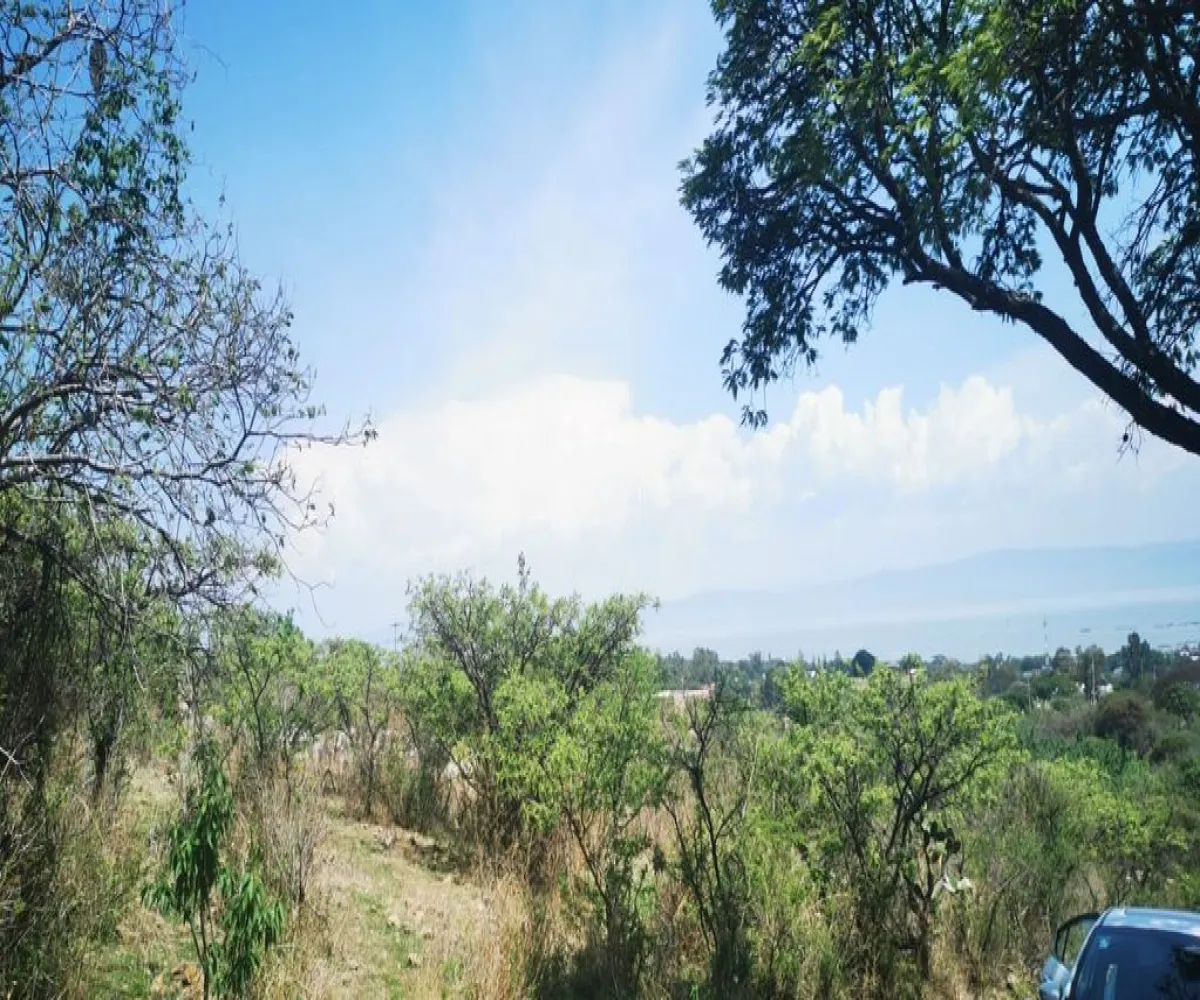 Terreno En Venta,San Nicolás de Ibarra,Paseo del Tapir FA2, Chapala, Jalisco 45900,Paseo del Tapir,p1HThDZ