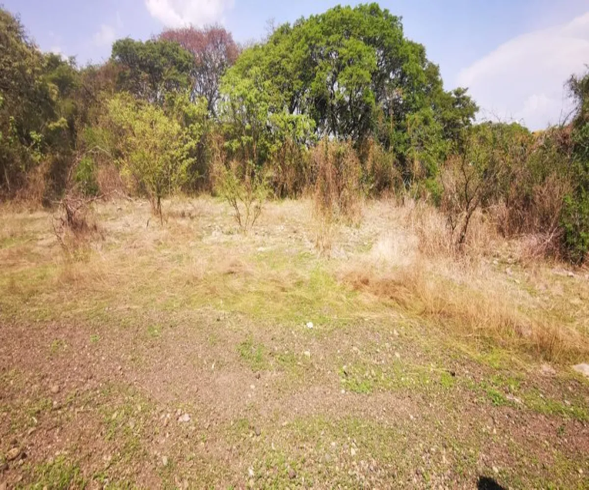 Terreno En Venta,San Nicolás de Ibarra,Vuelo del Halcón FJ M8, Chapala, Jalisco 45940,Vuelo del Halcón,p7Jk7Wt