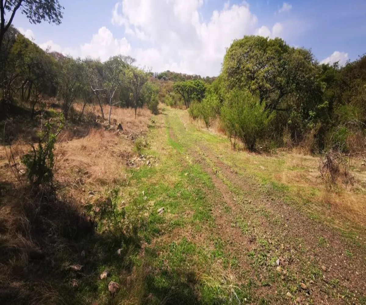 Terreno En Venta,San Nicolás de Ibarra,Vuelo del Halcón FJ M8, Chapala, Jalisco 45940,Vuelo del Halcón,p7Jk7Wt