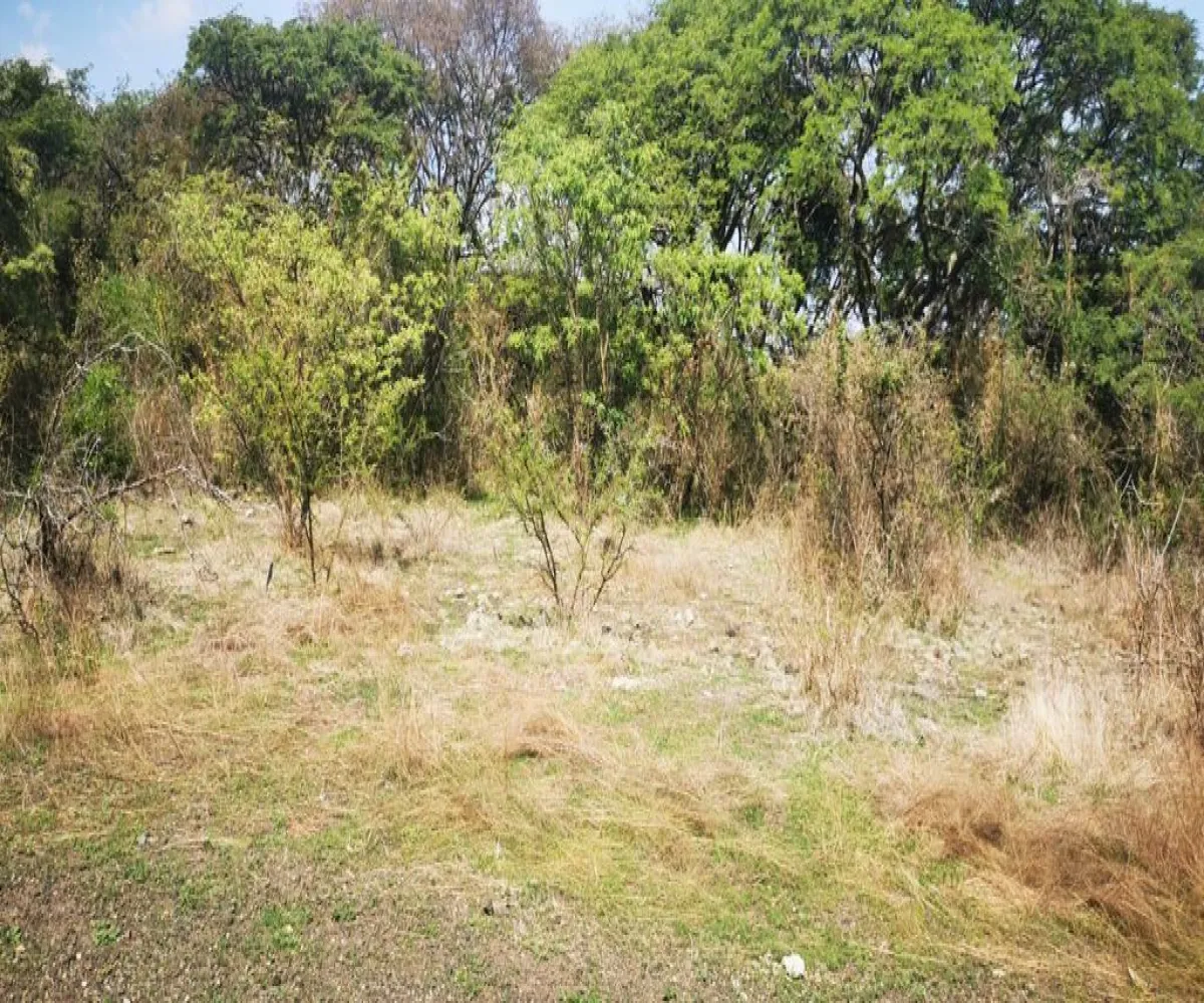 Terreno En Venta,San Nicolás de Ibarra,Vuelo del Halcón FJ M8, Chapala, Jalisco 45940,Vuelo del Halcón,p7Jk7Wt
