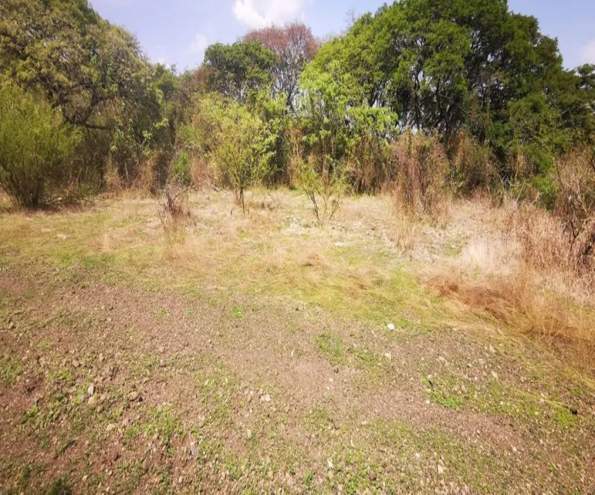 Terreno En Venta,San Nicolás de Ibarra,Vuelo del Halcón FJ M8, Chapala, Jalisco 45940,Vuelo del Halcón,p7Jk7Wt