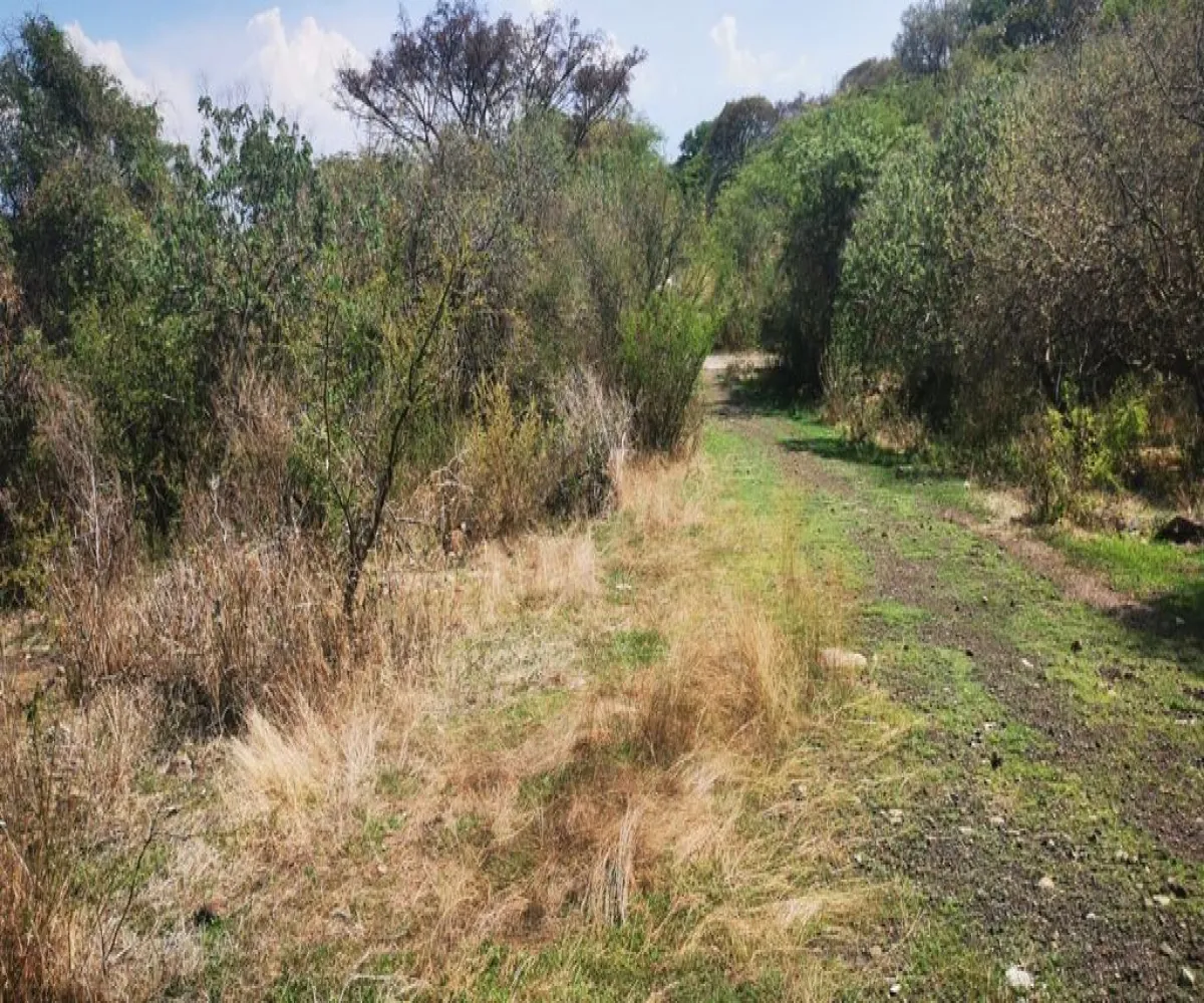 Terreno En Venta,San Nicolás de Ibarra,Vuelo del Halcón FJ M8, Chapala, Jalisco 45940,Vuelo del Halcón,p7Jk7Wt