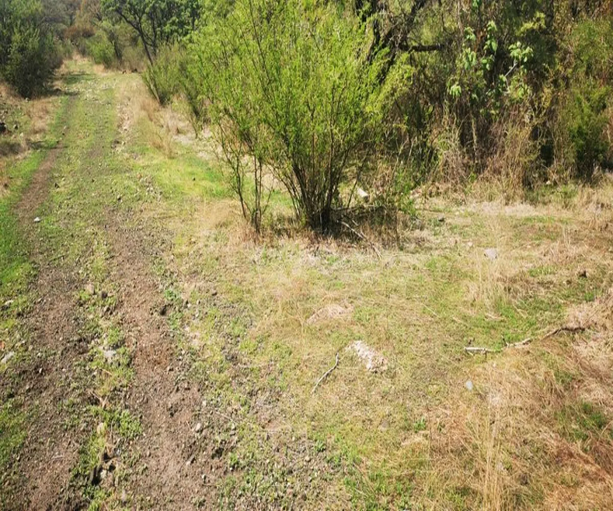 Terreno En Venta,San Nicolás de Ibarra,Vuelo del Halcón FJ M8, Chapala, Jalisco 45940,Vuelo del Halcón,p7Jk7Wt