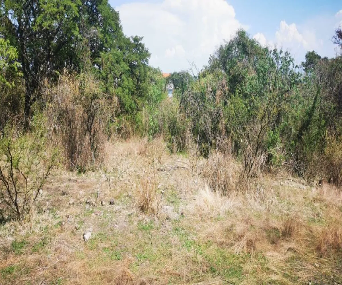 Terreno En Venta,San Nicolás de Ibarra,Vuelo del Halcón FJ M8, Chapala, Jalisco 45940,Vuelo del Halcón,p7Jk7Wt