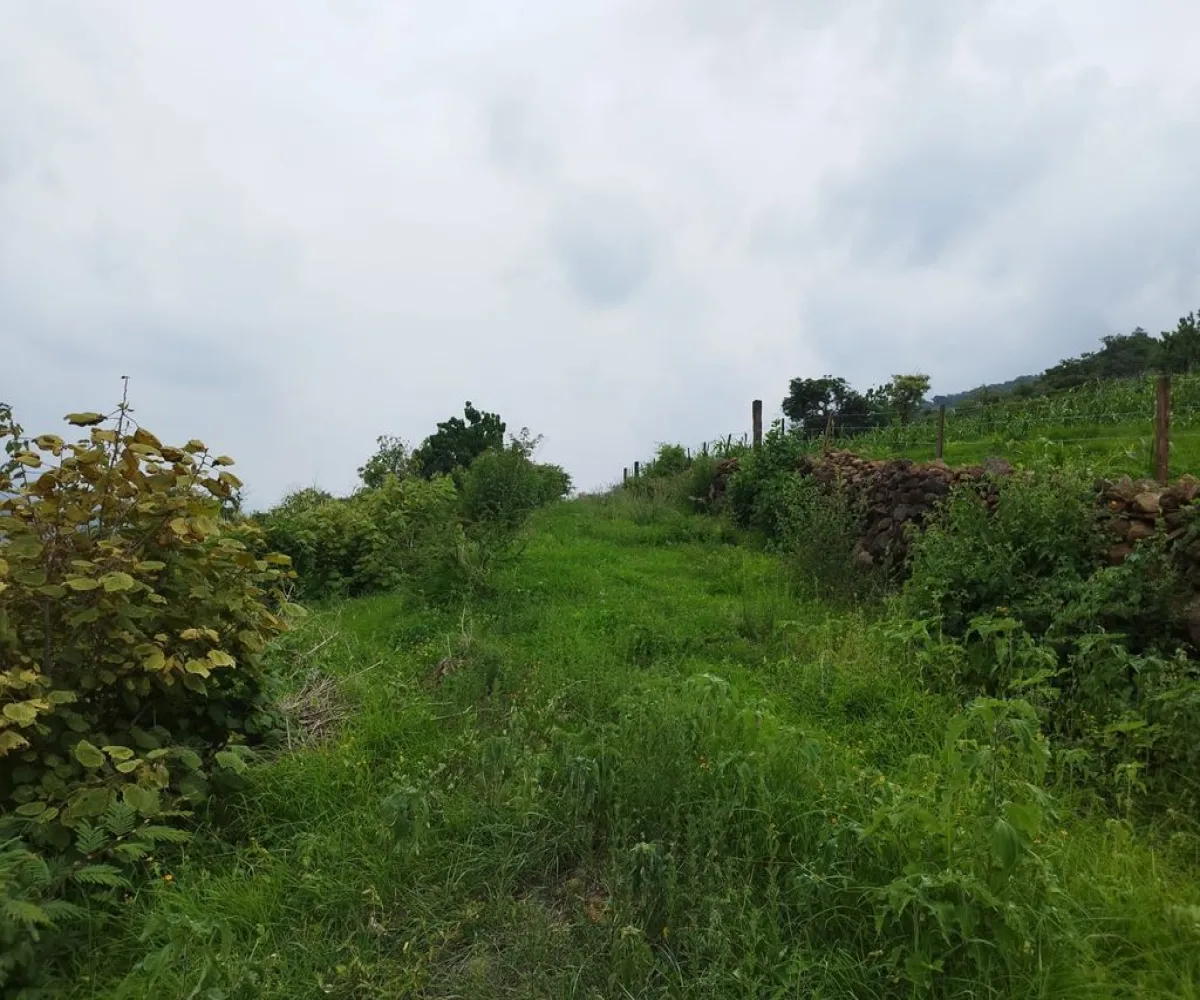 Terreno En Venta,Atotonilquillo,Carretera Guadalajara-Ocotlan 20, Chapala, Jalisco 45930,Carretera Guadalajara-Ocotlan,pV6uAcU Terreno En Venta,Atotonilquillo,Carretera Guadalajara-Ocotlan 20, Chapala, Jalisco 45930,Carretera Guadalajara-Ocotlan,pV6uAcU