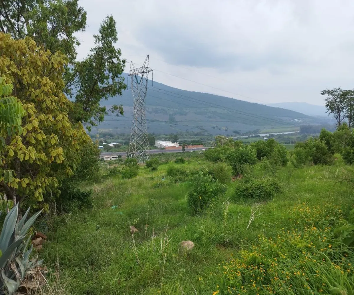 Terreno En Venta,Atotonilquillo,Carretera Guadalajara-Ocotlan 20, Chapala, Jalisco 45930,Carretera Guadalajara-Ocotlan,pV6uAcU Terreno En Venta,Atotonilquillo,Carretera Guadalajara-Ocotlan 20, Chapala, Jalisco 45930,Carretera Guadalajara-Ocotlan,pV6uAcU