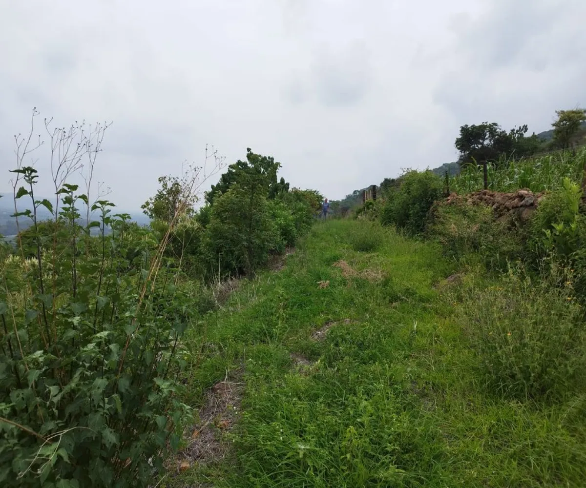 Terreno En Venta,Atotonilquillo,Carretera Guadalajara-Ocotlan 20, Chapala, Jalisco 45930,Carretera Guadalajara-Ocotlan,pV6uAcU Terreno En Venta,Atotonilquillo,Carretera Guadalajara-Ocotlan 20, Chapala, Jalisco 45930,Carretera Guadalajara-Ocotlan,pV6uAcU