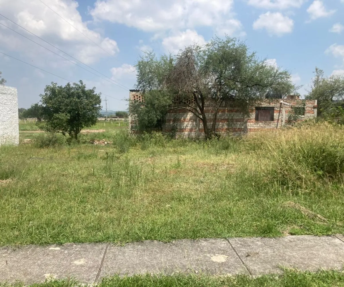 Terreno En Venta,Miravalle,Cedro 5, Acatlán de Juárez, Jalisco 45700,Cedro,p7iQ3R9 Terreno En Venta,Miravalle,Cedro 5, Acatlán de Juárez, Jalisco 45700,Cedro,p7iQ3R9
