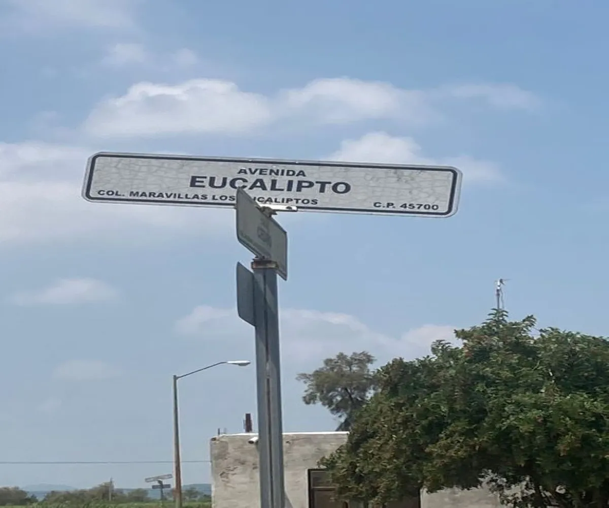 Terreno En Venta,Miravalle,Cedro 5, Acatlán de Juárez, Jalisco 45700,Cedro,p7iQ3R9 Terreno En Venta,Miravalle,Cedro 5, Acatlán de Juárez, Jalisco 45700,Cedro,p7iQ3R9