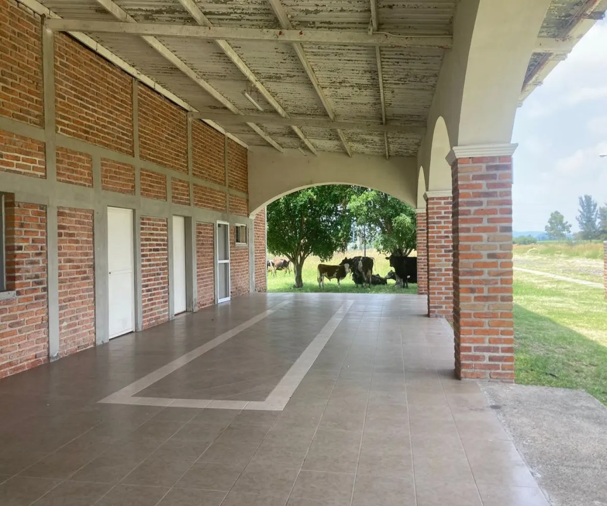 Terreno En Venta,Miravalle,Cedro 5, Acatlán de Juárez, Jalisco 45700,Cedro,p7iQ3R9
