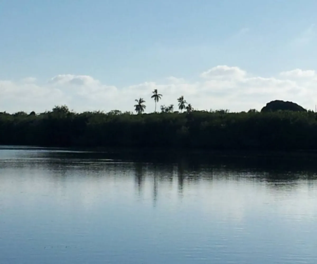 Terreno En Venta,San Blas Centro,ISLA POTRERO DEL REY S/N, San Blas, Nayarit 63740,ISLA POTRERO DEL REY,p6GbBMI Terreno En Venta,San Blas Centro,ISLA POTRERO DEL REY S/N, San Blas, Nayarit 63740,ISLA POTRERO DEL REY,p6GbBMI