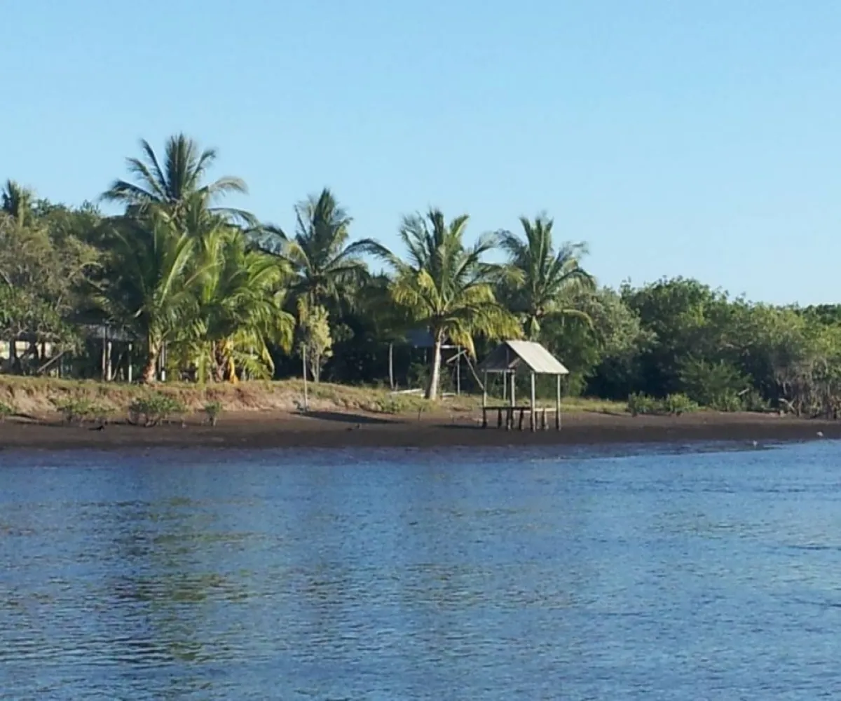 Terreno En Venta,San Blas Centro,ISLA POTRERO DEL REY S/N, San Blas, Nayarit 63740,ISLA POTRERO DEL REY,p6GbBMI Terreno En Venta,San Blas Centro,ISLA POTRERO DEL REY S/N, San Blas, Nayarit 63740,ISLA POTRERO DEL REY,p6GbBMI