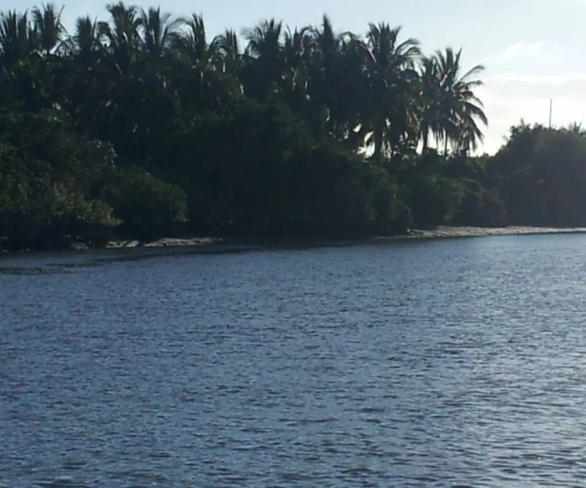 Terreno En Venta,San Blas Centro,ISLA POTRERO DEL REY S/N, San Blas, Nayarit 63740,ISLA POTRERO DEL REY,p6GbBMI Terreno En Venta,San Blas Centro,ISLA POTRERO DEL REY S/N, San Blas, Nayarit 63740,ISLA POTRERO DEL REY,p6GbBMI