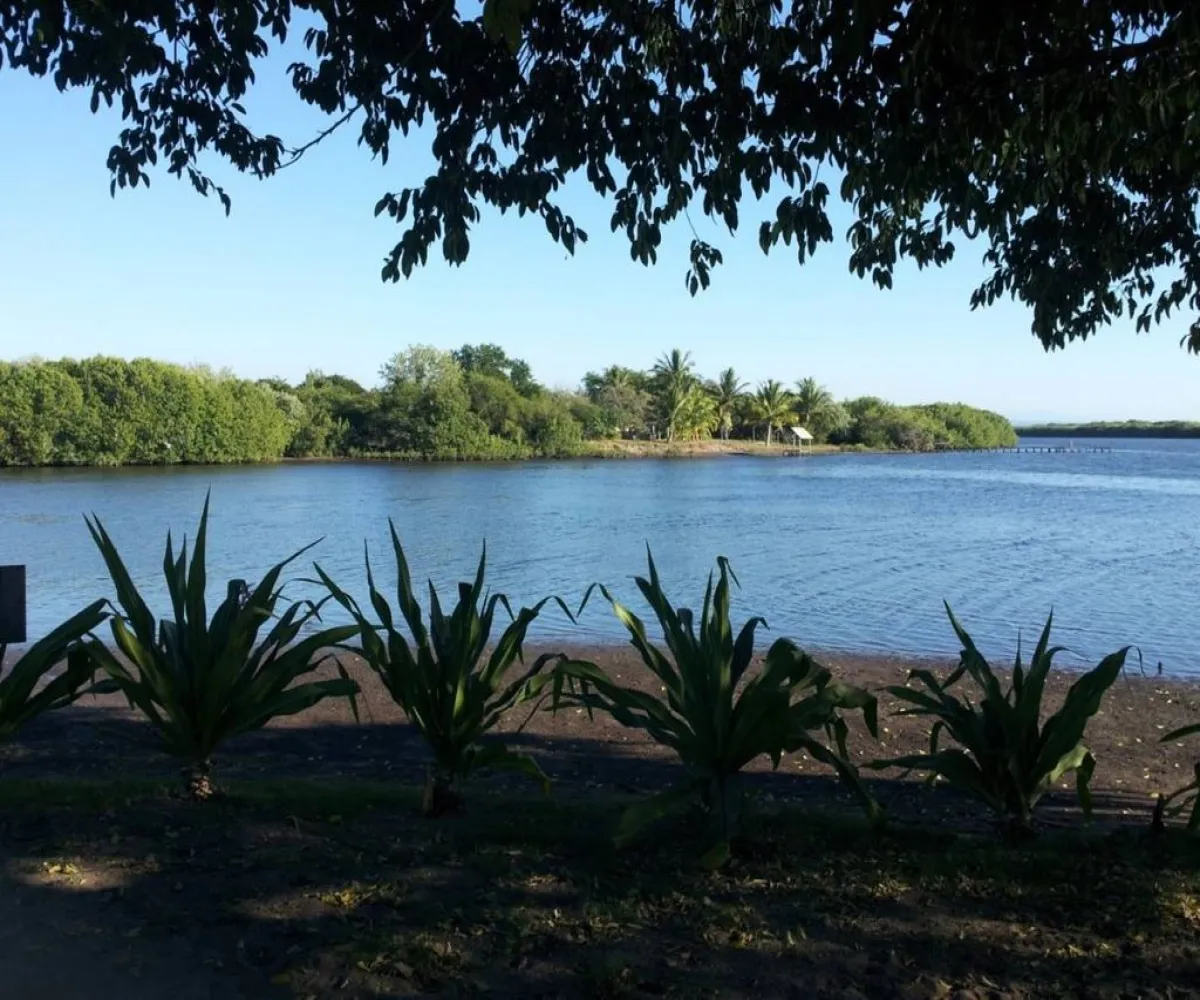 Terreno En Venta,San Blas Centro,ISLA POTRERO DEL REY S/N, San Blas, Nayarit 63740,ISLA POTRERO DEL REY,p6GbBMI Terreno En Venta,San Blas Centro,ISLA POTRERO DEL REY S/N, San Blas, Nayarit 63740,ISLA POTRERO DEL REY,p6GbBMI