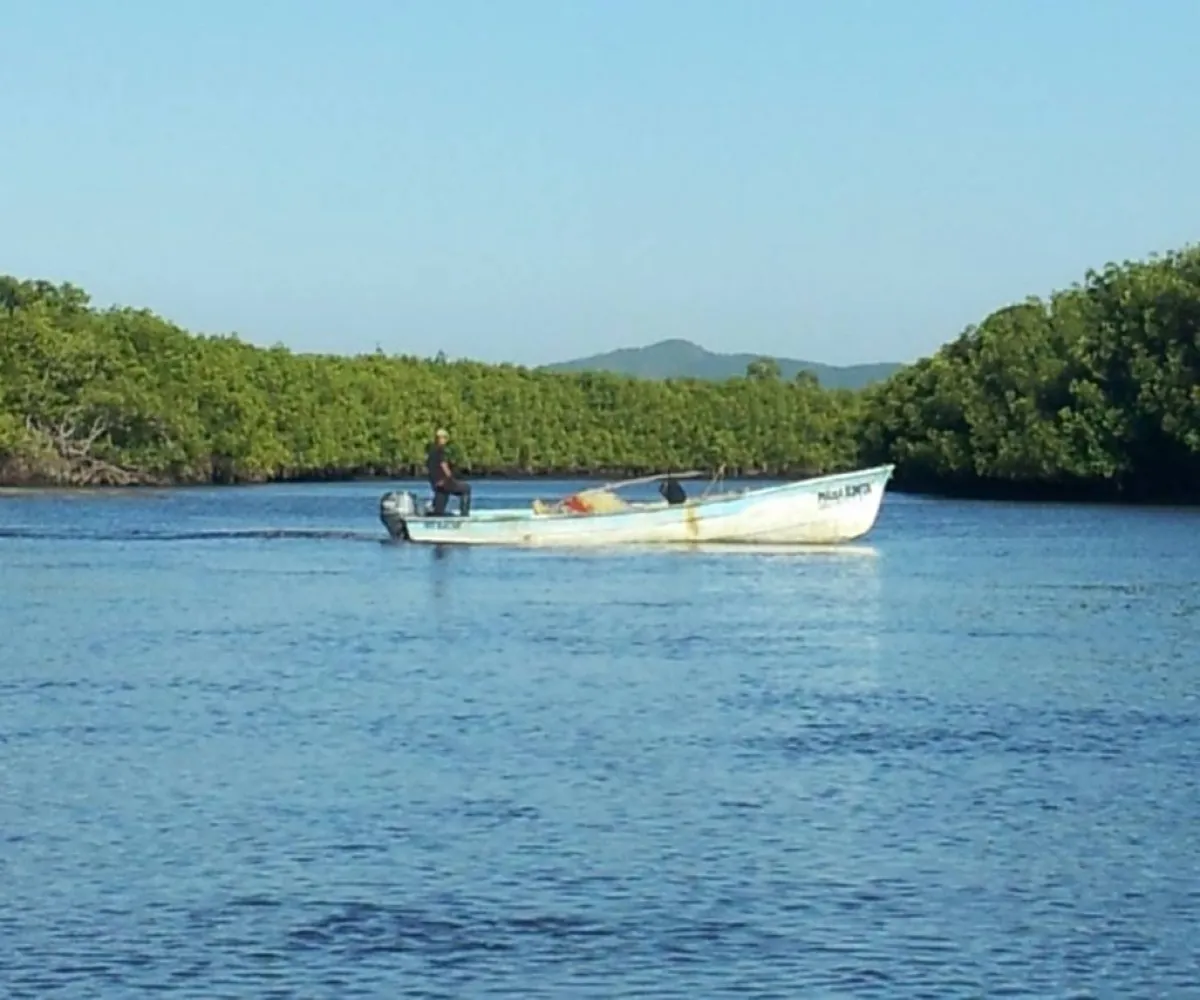 Terreno En Venta,San Blas Centro,ISLA POTRERO DEL REY S/N, San Blas, Nayarit 63740,ISLA POTRERO DEL REY,p6GbBMI Terreno En Venta,San Blas Centro,ISLA POTRERO DEL REY S/N, San Blas, Nayarit 63740,ISLA POTRERO DEL REY,p6GbBMI