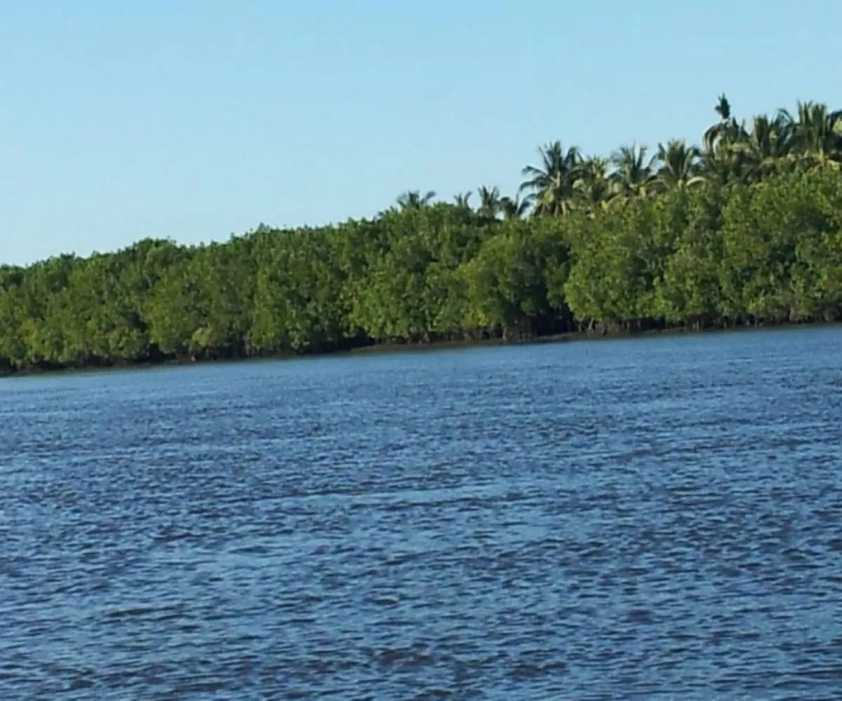 Terreno En Venta,San Blas Centro,ISLA POTRERO DEL REY S/N, San Blas, Nayarit 63740,ISLA POTRERO DEL REY,p6GbBMI Terreno En Venta,San Blas Centro,ISLA POTRERO DEL REY S/N, San Blas, Nayarit 63740,ISLA POTRERO DEL REY,p6GbBMI