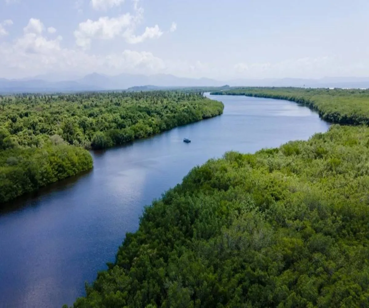 Terreno En Venta,San Blas Centro,ISLA POTRERO DEL REY S/N, San Blas, Nayarit 63740,ISLA POTRERO DEL REY,p6GbBMI Terreno En Venta,San Blas Centro,ISLA POTRERO DEL REY S/N, San Blas, Nayarit 63740,ISLA POTRERO DEL REY,p6GbBMI