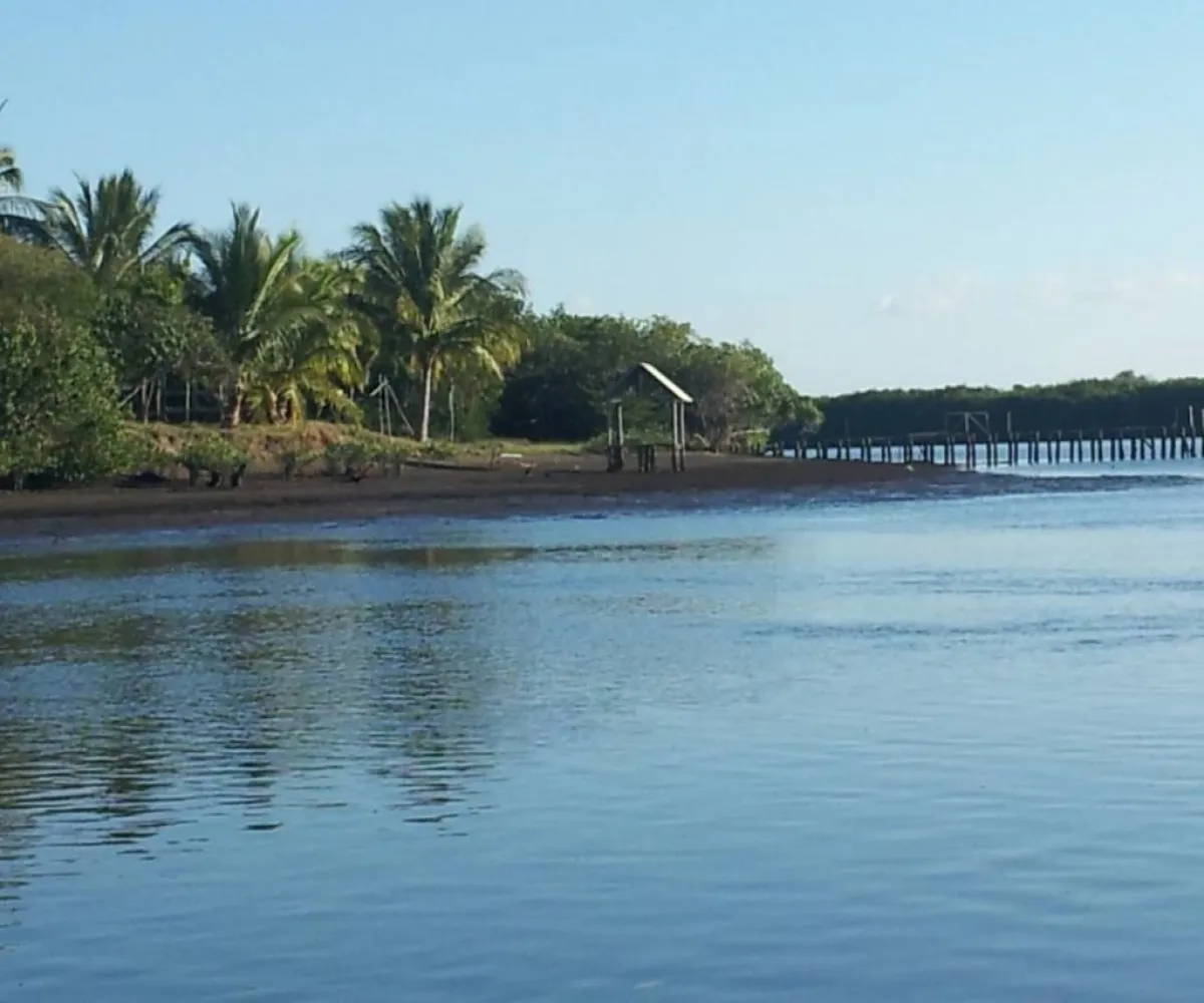 Terreno En Venta,San Blas Centro,ISLA POTRERO DEL REY S/N, San Blas, Nayarit 63740,ISLA POTRERO DEL REY,p6GbBMI Terreno En Venta,San Blas Centro,ISLA POTRERO DEL REY S/N, San Blas, Nayarit 63740,ISLA POTRERO DEL REY,p6GbBMI