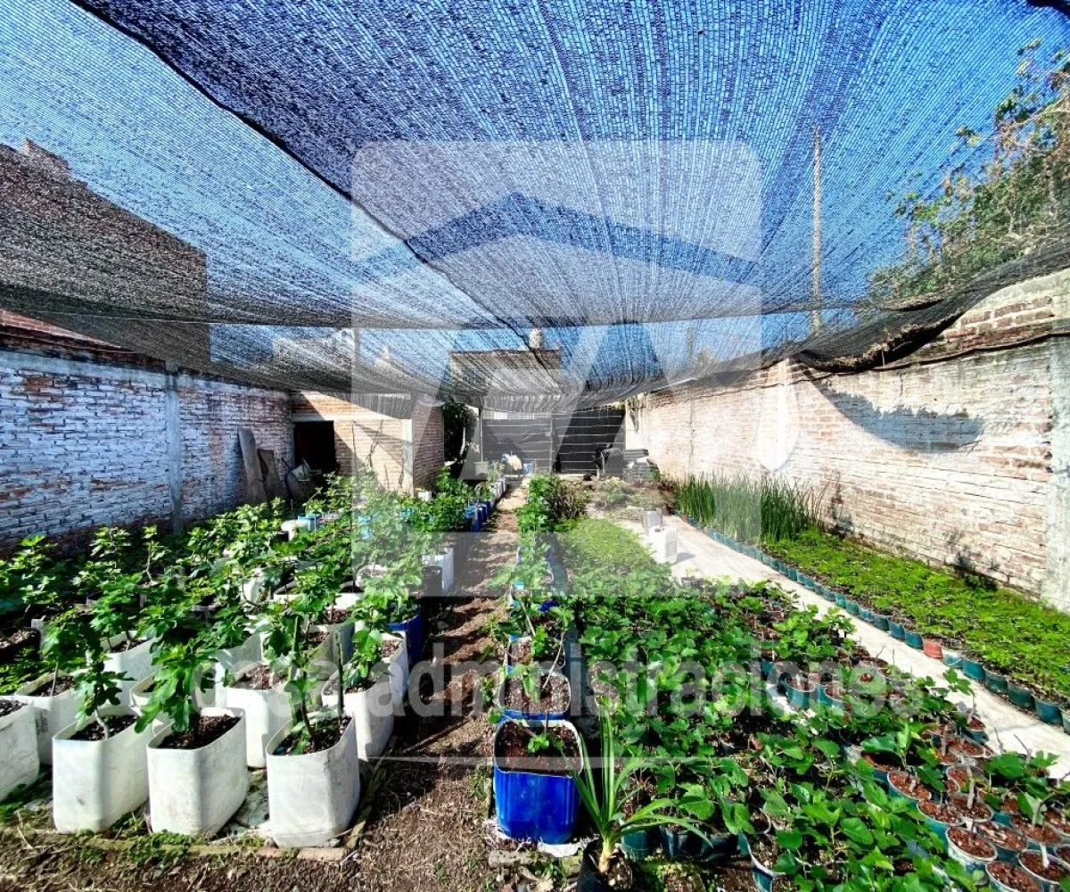 Terreno En Venta,Tala Centro,AGUILA 44, Tala, Jalisco 45300,AGUILA ,pEq6x0u Terreno En Venta,Tala Centro,AGUILA 44, Tala, Jalisco 45300,AGUILA ,pEq6x0u