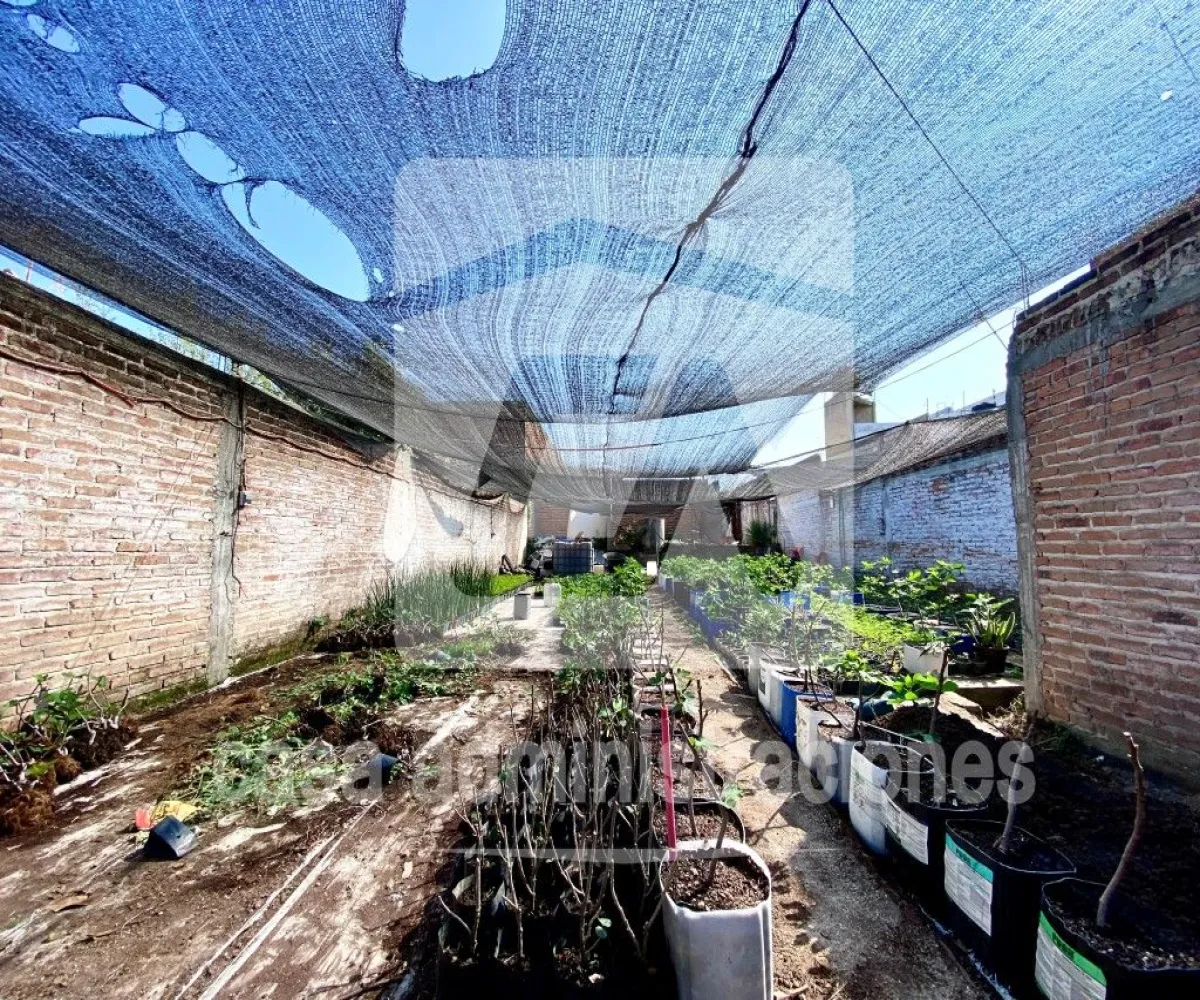 Terreno En Venta,Tala Centro,AGUILA 44, Tala, Jalisco 45300,AGUILA ,pEq6x0u Terreno En Venta,Tala Centro,AGUILA 44, Tala, Jalisco 45300,AGUILA ,pEq6x0u