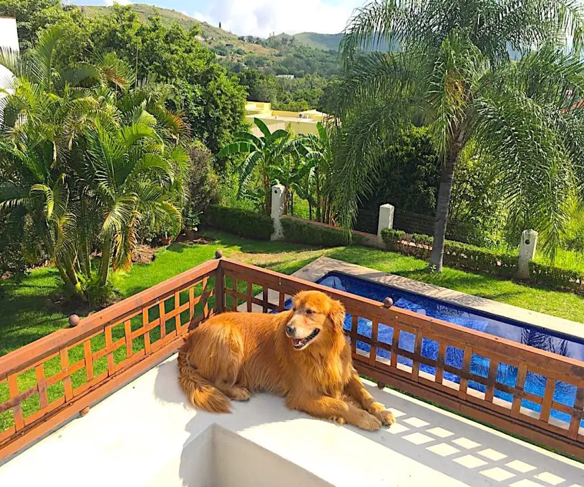 Casa En Venta,Bosques de San Isidro (Las Cañadas),Bosque de los Colomos 8 B, Zapopan, Jalisco 45133, 4 Habitaciones,4 Baños,Bosque de los Colomos,2,p7TQa0r