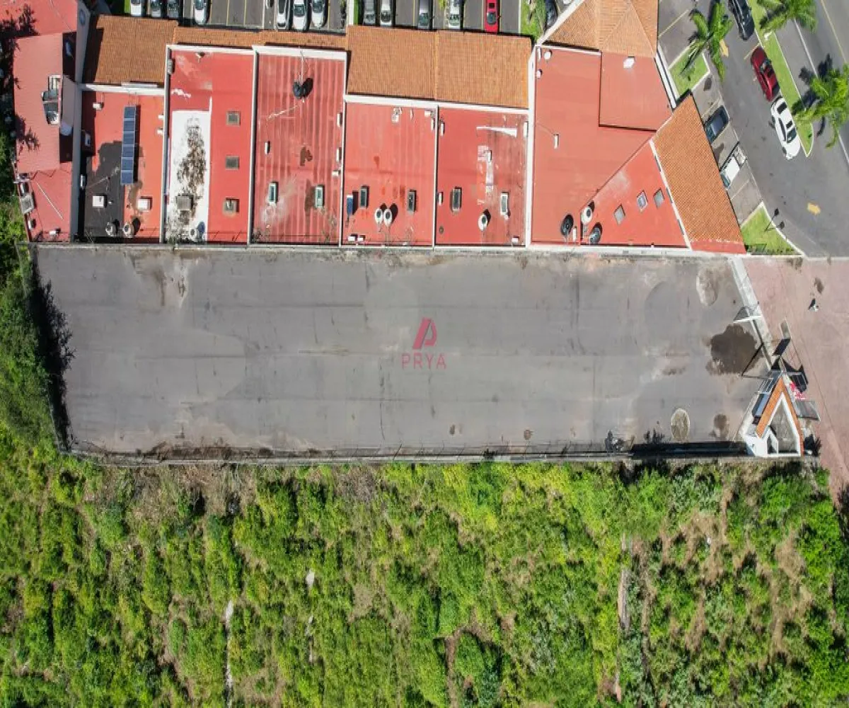 Terreno En Renta,San Antonio Tlayacapan,libramiento chapala Ajijic, san Antonio Tlayacapan S/N, Chapala, Jalisco 45900,libramiento chapala Ajijic, san Antonio Tlayacapan,pJ45AFB Terreno En Renta,San Antonio Tlayacapan,libramiento chapala Ajijic, san Antonio Tlayacapan S/N, Chapala, Jalisco 45900,libramiento chapala Ajijic, san Antonio Tlayacapan,pJ45AFB