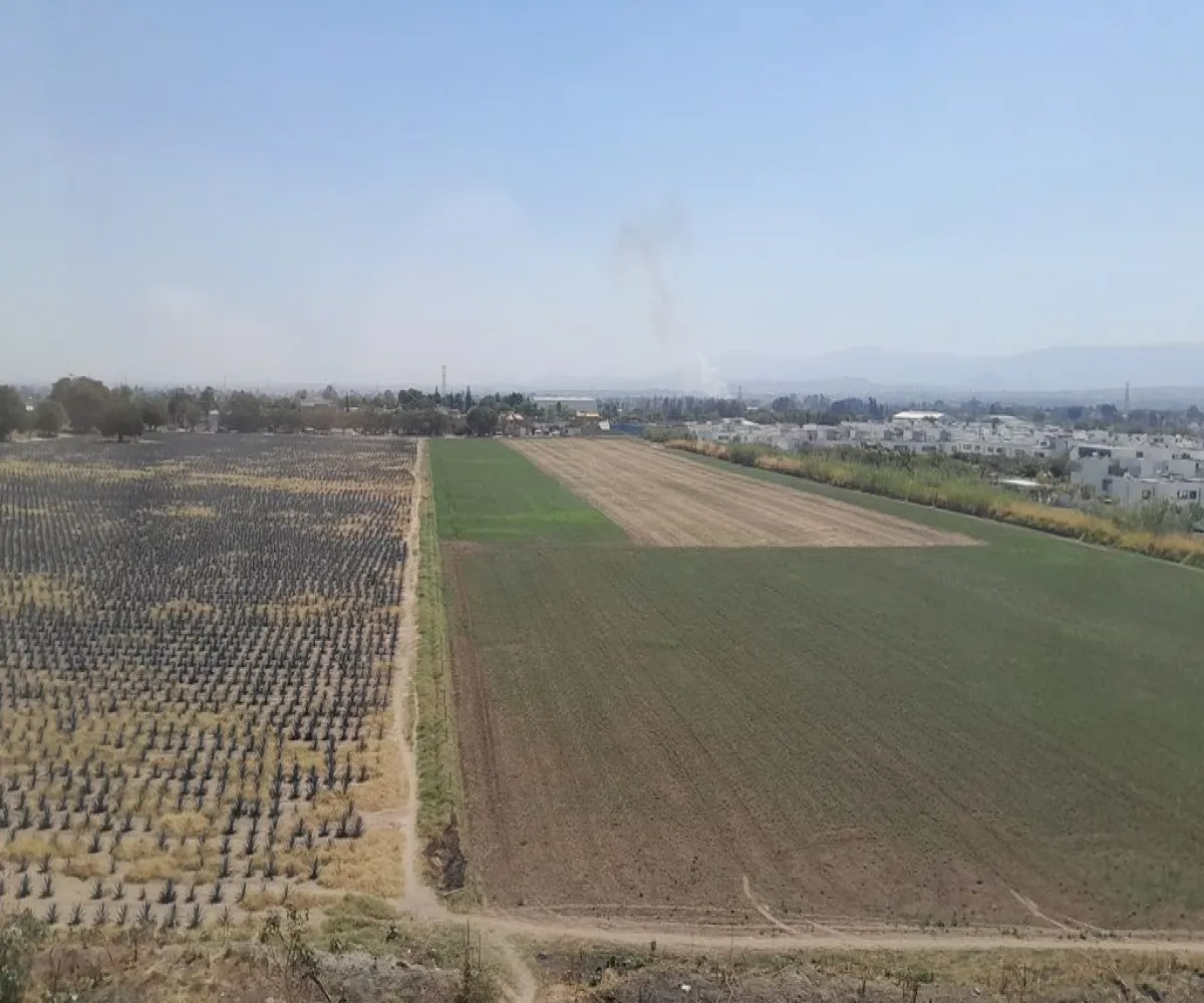 Departamento En Venta,Nueva Galicia Residencial,Av. Camino Real a Colima S/N, Tlajomulco de Zúñiga, Jalisco 45645, 2 Habitaciones,2 Baños,Av. Camino Real a Colima,4,pYFonim Departamento En Venta,Nueva Galicia Residencial,Av. Camino Real a Colima S/N, Tlajomulco de Zúñiga, Jalisco 45645, 2 Habitaciones,2 Baños,Av. Camino Real a Colima,4,pYFonim