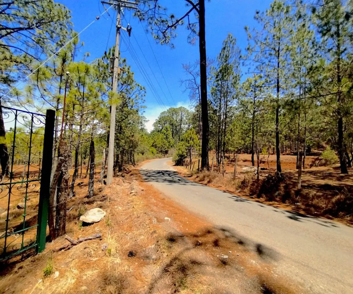 Terreno En Venta,Los espinos,Los espinos sn, Tapalpa, Jalisco 49340,Los espinos,pAJV3qu