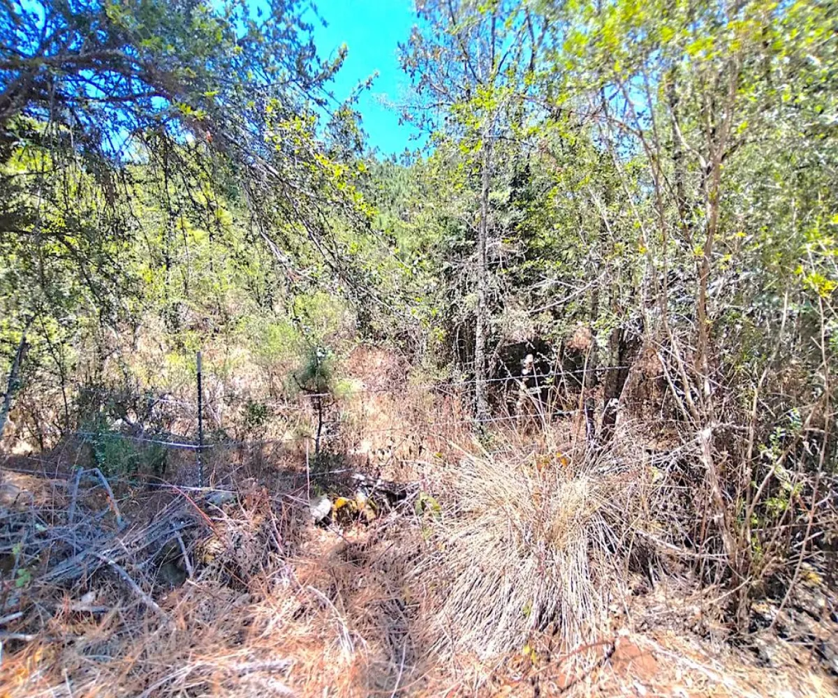 Terreno En Venta,Los espinos,Los espinos sn, Tapalpa, Jalisco 49340,Los espinos,pAJV3qu