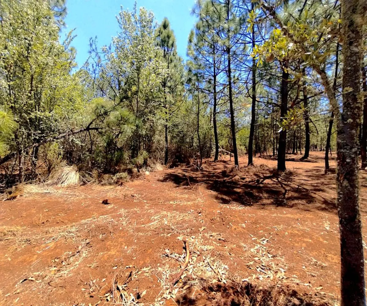 Terreno En Venta,Los espinos,Los espinos sn, Tapalpa, Jalisco 49340,Los espinos,pAJV3qu