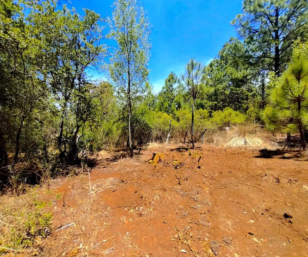 Terreno En Venta,Los espinos,Los espinos sn, Tapalpa, Jalisco 49340,Los espinos,pAJV3qu