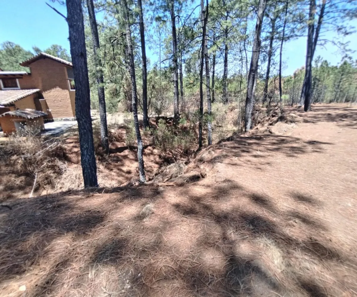 Terreno En Venta,Los espinos,Los espinos sn, Tapalpa, Jalisco 49340,Los espinos,pAJV3qu
