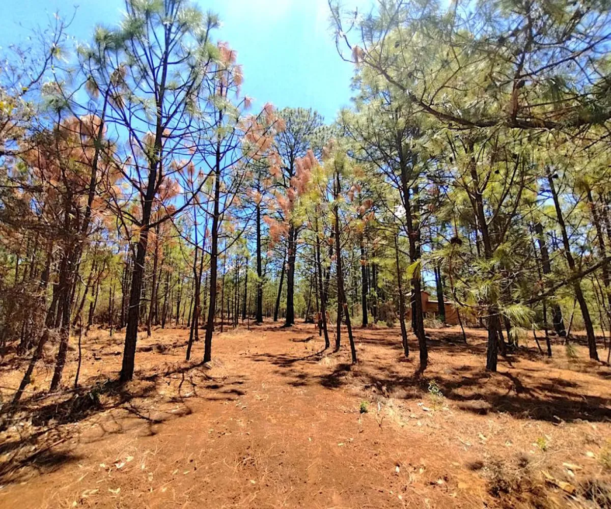 Terreno En Venta,Los espinos,Los espinos sn, Tapalpa, Jalisco 49340,Los espinos,pAJV3qu