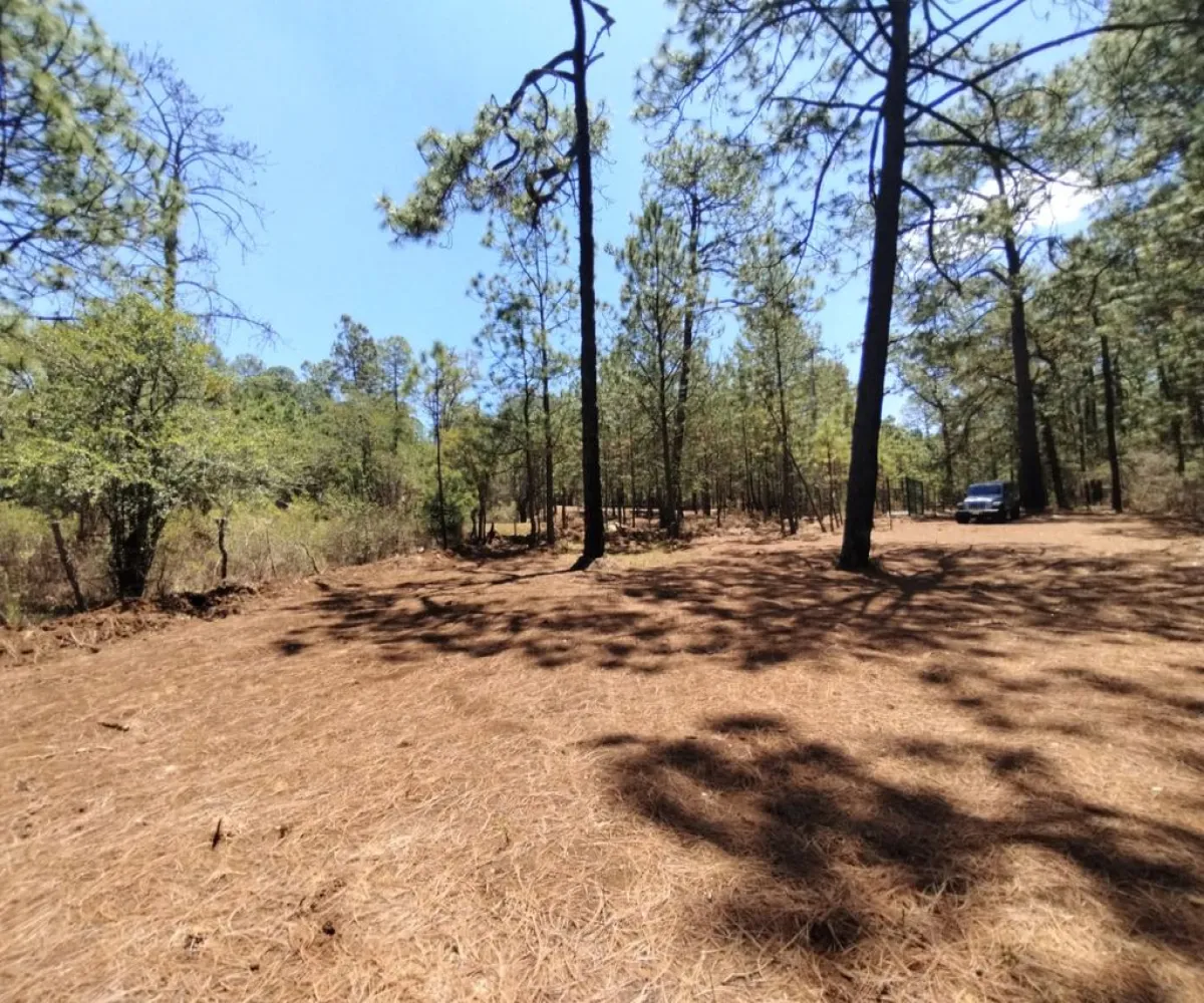 Terreno En Venta,Los espinos,Los espinos sn, Tapalpa, Jalisco 49340,Los espinos,pAJV3qu