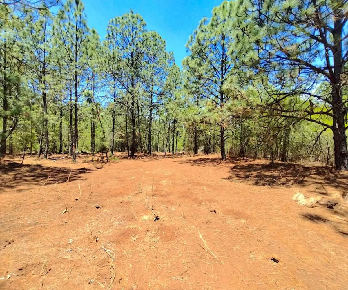 Terreno En Venta,Los espinos,Los espinos sn, Tapalpa, Jalisco 49340,Los espinos,pAJV3qu