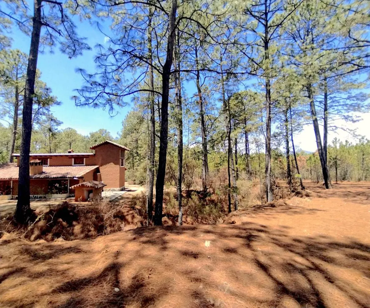 Terreno En Venta,Los espinos,Los espinos sn, Tapalpa, Jalisco 49340,Los espinos,pAJV3qu