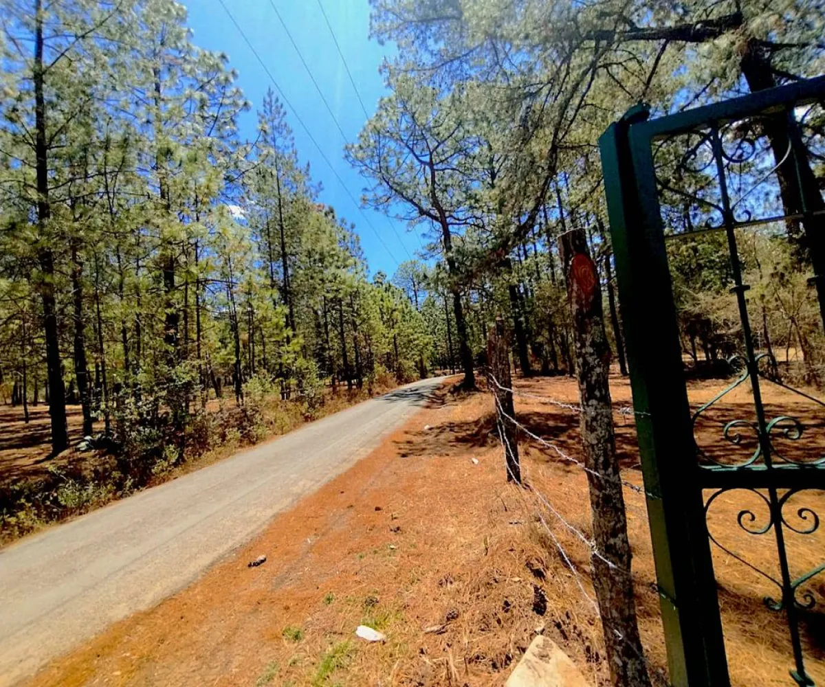 Terreno En Venta,Los espinos,Los espinos sn, Tapalpa, Jalisco 49340,Los espinos,pAJV3qu