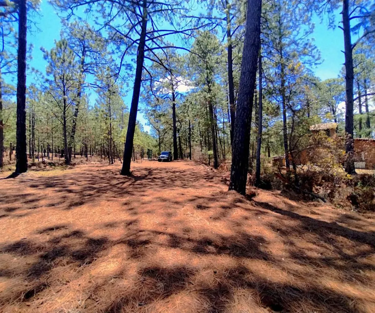 Terreno En Venta,Los espinos,Los espinos sn, Tapalpa, Jalisco 49340,Los espinos,pAJV3qu